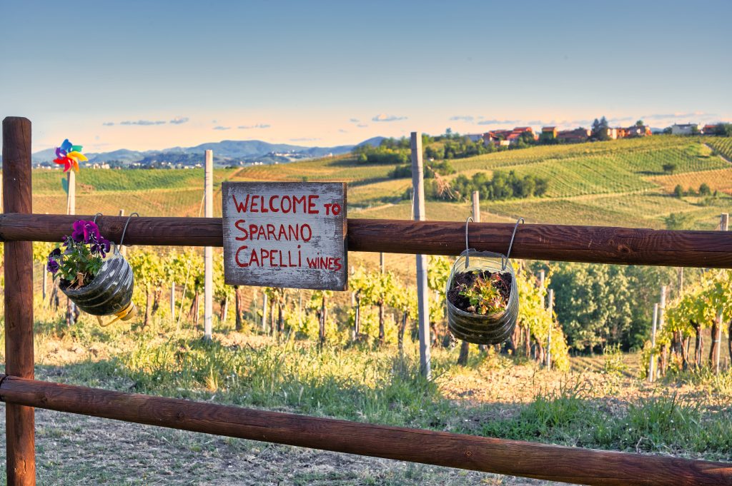 WELCOME TO: Sparano Capelli Wines