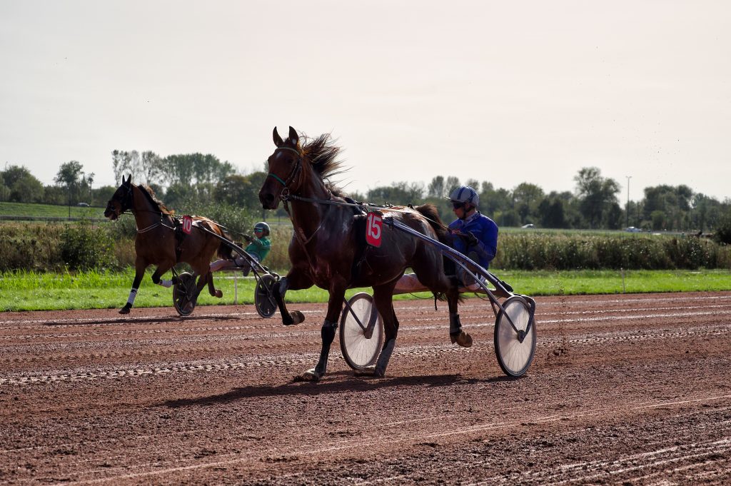 Pferderennen im Hippodrom Caen