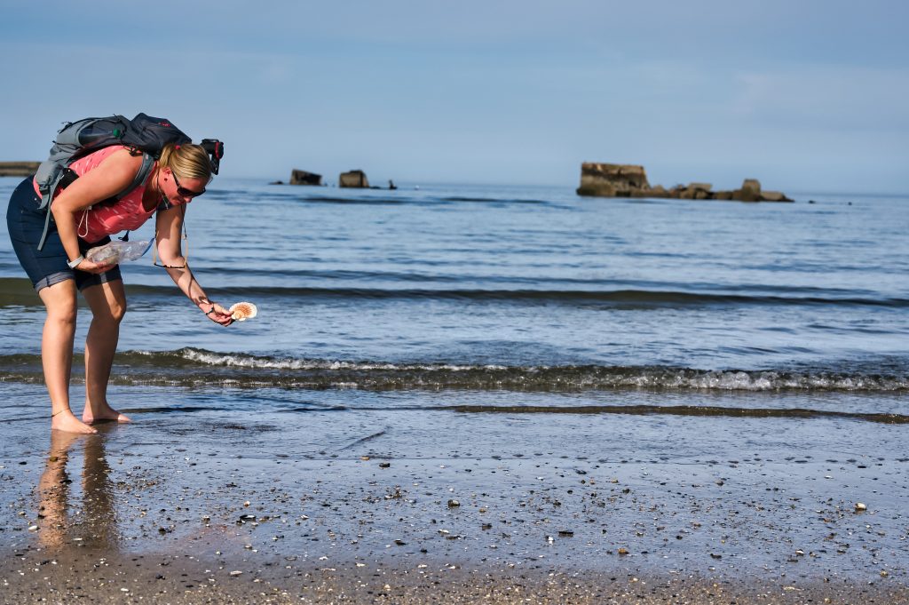 Muschelsuche am Strand von Saint-Cômes-de-Fresné in der Normandie