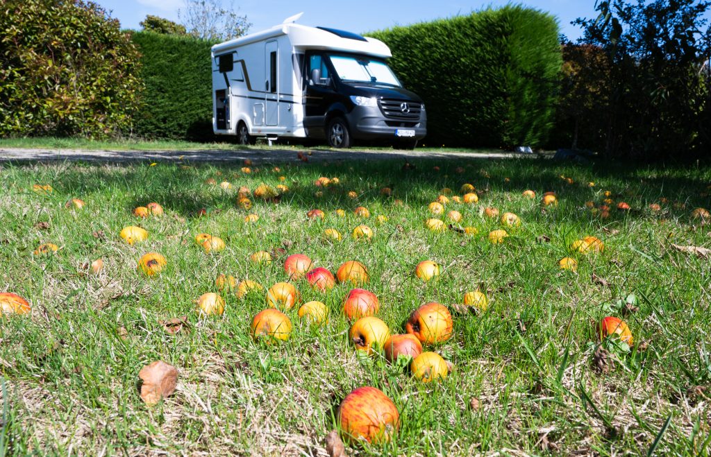 HERBST: der Calvados liegt uns zu Füßen