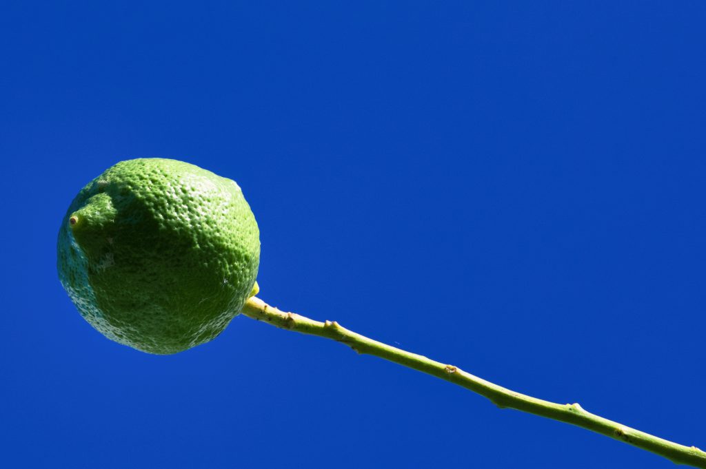 LIME: against a blue sky